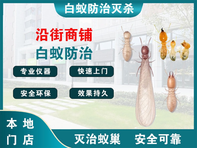 静安沿街商铺白蚁防治