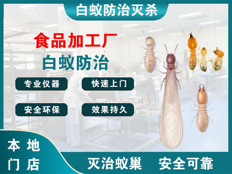 静安食品加工厂白蚁防治