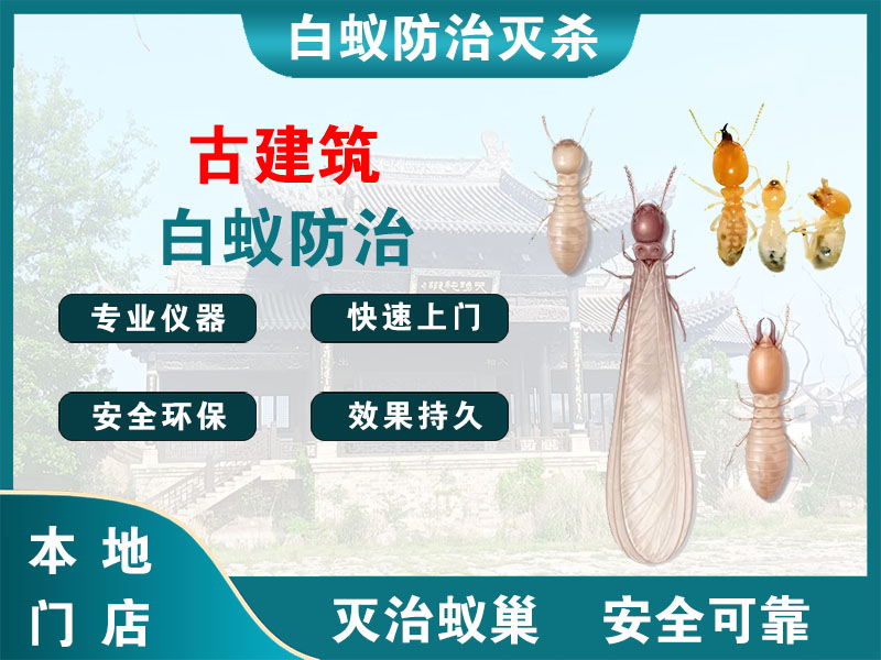 静安古建筑白蚁防治