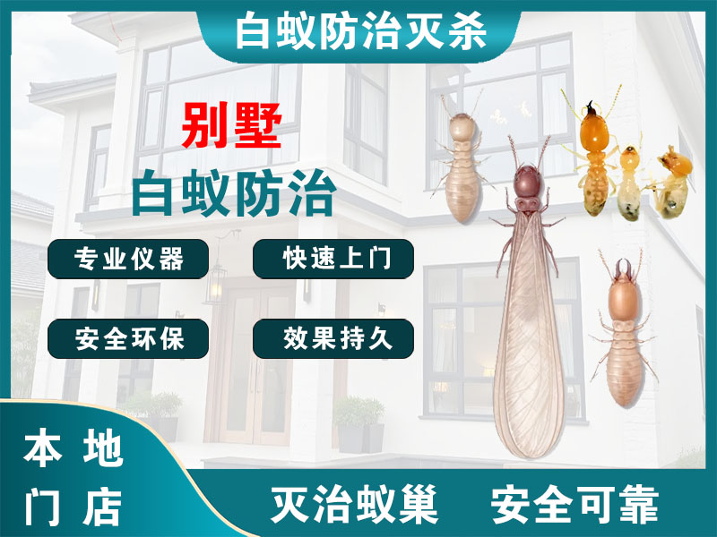 静安别墅白蚁防治