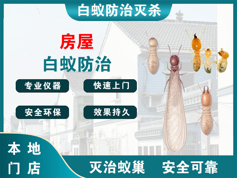 静安房屋白蚁防治